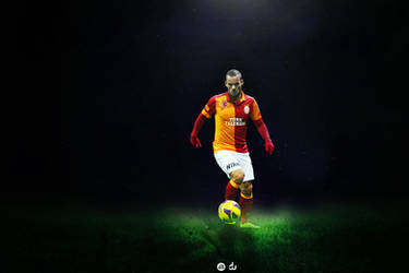 Wesley Sneijder , Galatasaray