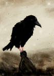 The Crow by loysa