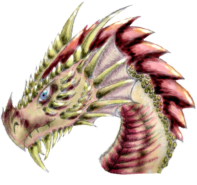 Dragon Head Stage 5 Colored By Nike2000 On Deviantart
