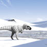 Arctic Tyrant (Nanuqsaurus hoglundi)