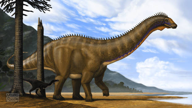 Apatosaurus excelsus and Ornitholestes hermanni