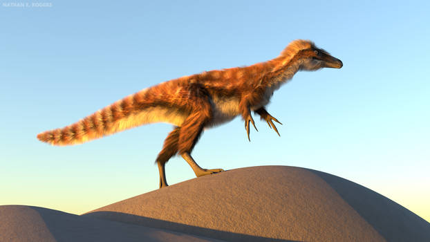 Compsognathus longipes 01