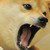 Shibeplz3