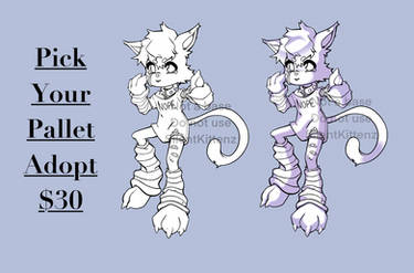 [open] PYP cat adopt $30 PayPal only