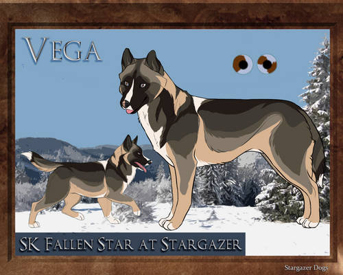 VEGA | SK Fallen Star at Stargazer