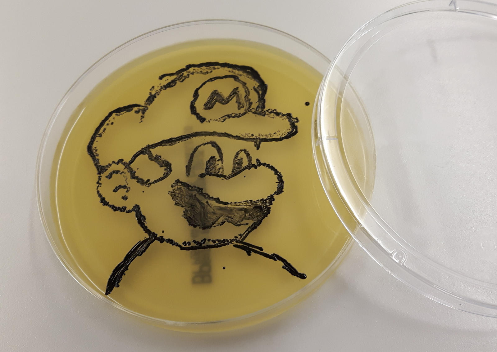 Mario bacteria culture by TyrantOnion on DeviantArt