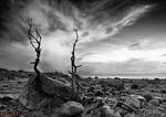 Obrestad, Haa, Norway by studio-toffa