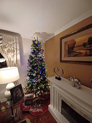 My Christmas Tree 2022