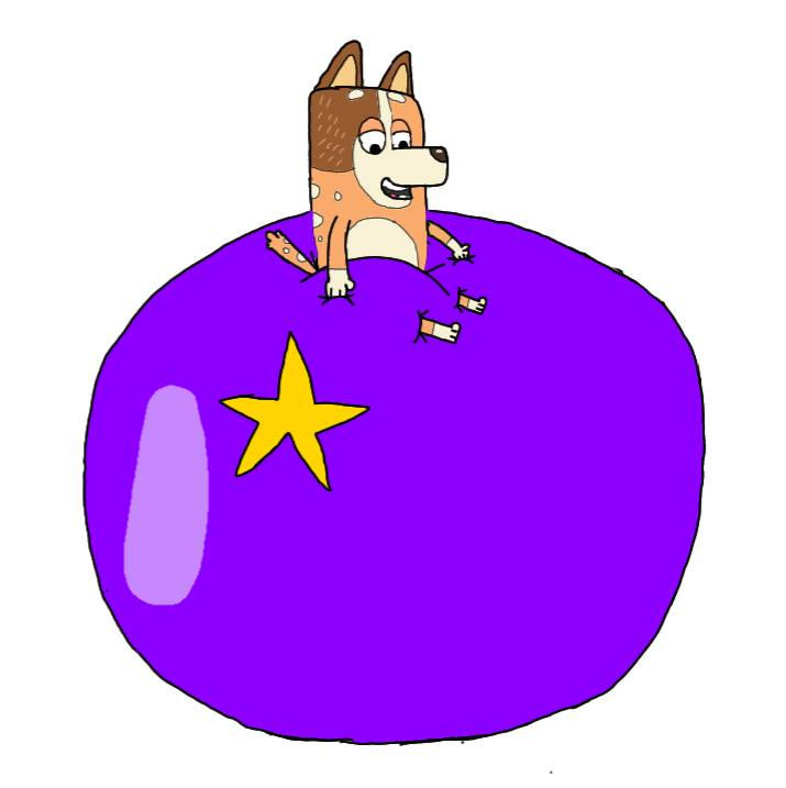 Chilli Heeler Pants Inflation by squirreltailzzz on DeviantArt