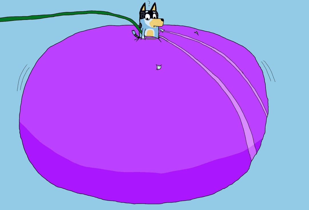 Bandit Heeler Undies Inflation by squirreltailzzz on DeviantArt