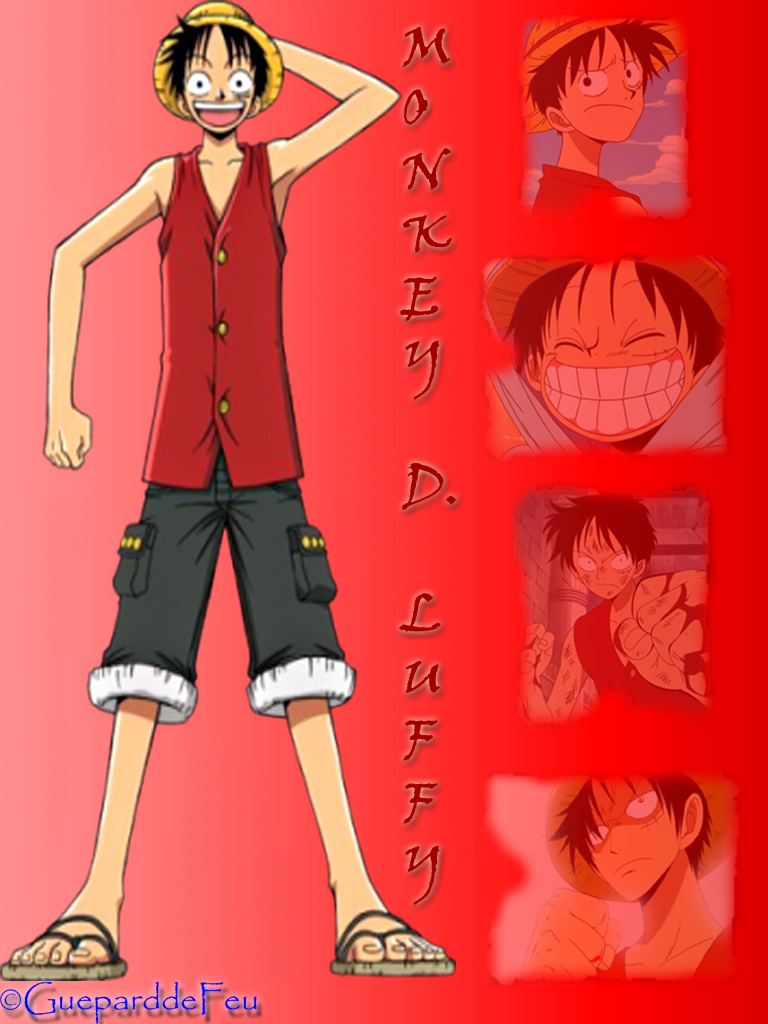 Montage of Monkey D. Luffy