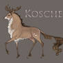 Koschei | Stag | Herd Member