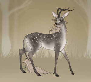 Windborne doe design