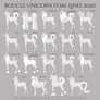 Boucle Unicorn Foal Lines 2020
