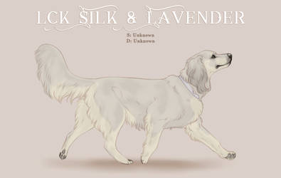LCk Silk and Lavender