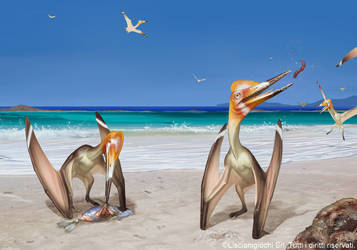 Pterodactylus antiquus