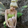 Tinkerbell Classic no 1