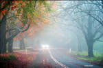 foggy road by Zlata-Petal