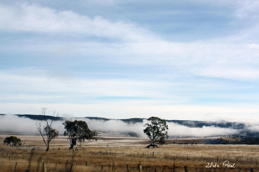 big misty cloud