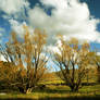 clouds in autumn season