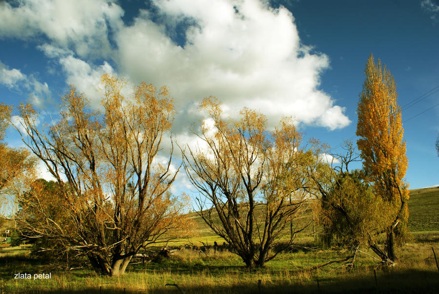 clouds in autumn season