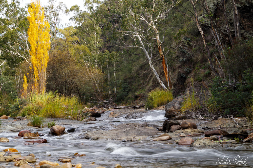 Jarongobily river