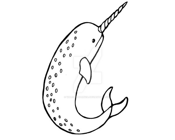 Narwhal