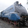 Mallard at Railfest 2012