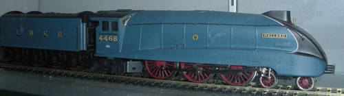 Mallard Model