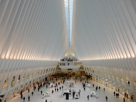 Calatrava Oculus