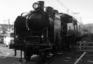 Black and White C11.190 in Kanaya-Azuma