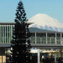 Mount Fuji, Shimizu Station and Christmas Tree