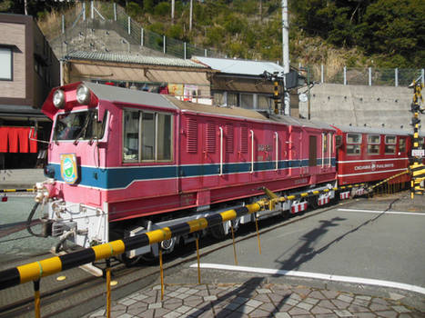 Oigawa DD203 Brienz Crosses Road in Senzu