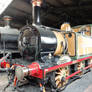 Stroudley A1X 55 Stepney at Sheffield Park