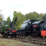 SHDC 18 and Malleable 5 at Beamish DSCN3094