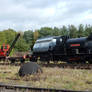 Malleable 5 in Beamish Colliery Railyard DSCN3118