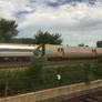 Amtrak Northeast Regional in Alexandria 3