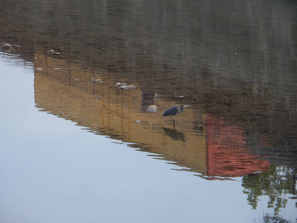 FGEX 10305 Reflection In C O Canal DSCN7364 By Rlkitterman On DeviantArt Fgex 10305 reflection in c o canal dscn7364 by rlkitterman on deviantart