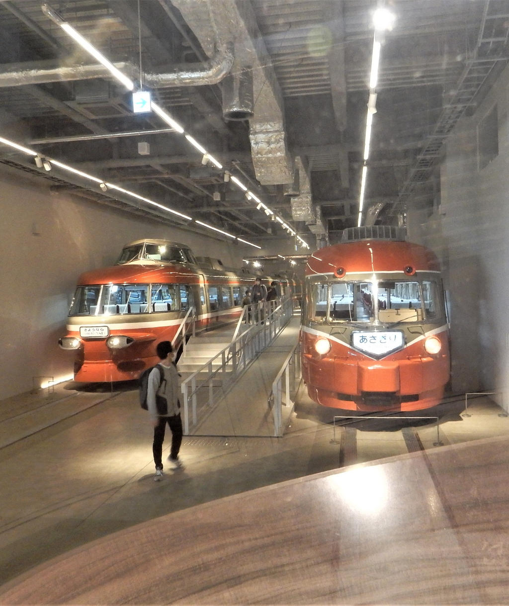 View of Odakyu 3000 and 3100 from 10000 DSCN1467 by rlkitterman on