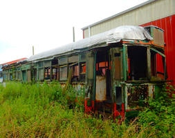 Cleveland Railway 031 DSCN3248