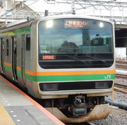 Ueno-Tokyo Line E231.U589-1558E at Ueno DSCN1782