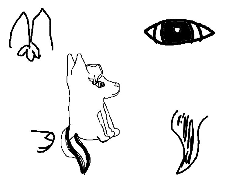 Blank Canine Reference Sheet by epicninjawolf on DeviantArt