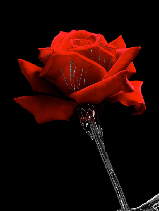 Metal Rose