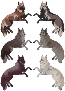 (WOLF ADOPTS-SOLD) WildWest