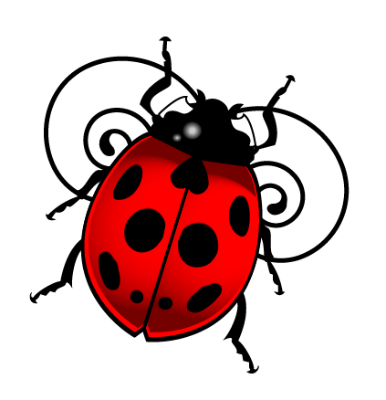 Ladybug Ladybug