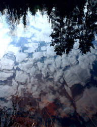 The sky in a pond
