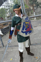 My Link Cosplay