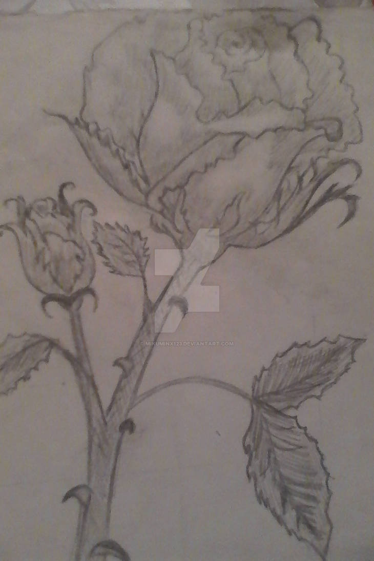 a fallen rose by MikuMinx123 on DeviantArt