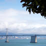 Bay Bridge - Sheltered