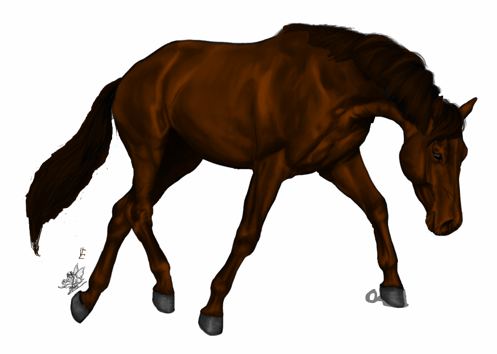 Warmblood- WIP